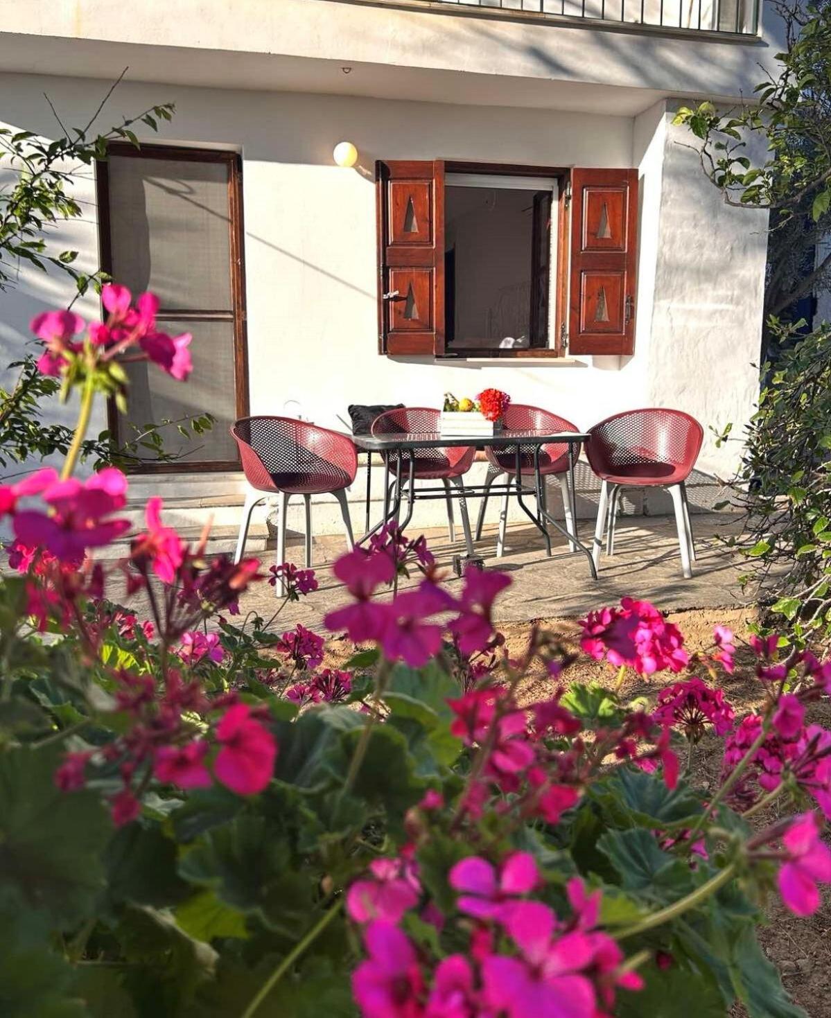 Grandpa Simos' Traditional Guest House Agios Romanos Exterior photo